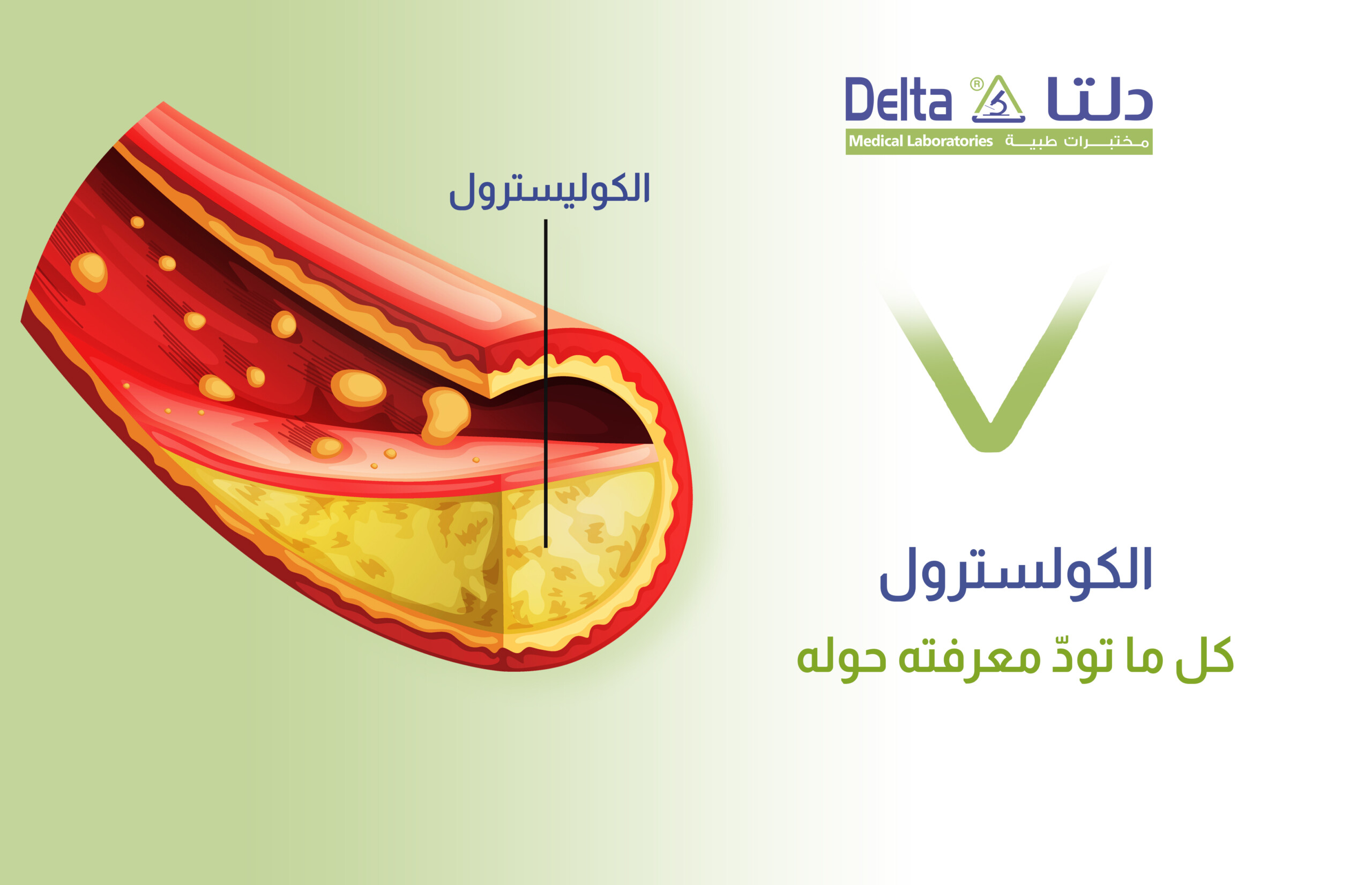 الكولسترول