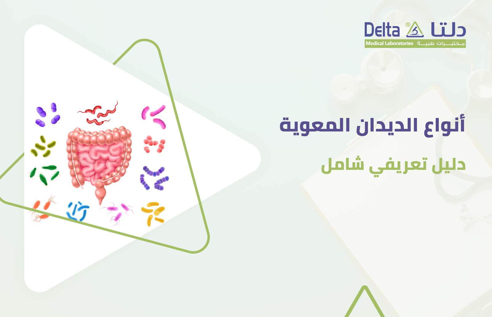 ما هي أنواع الديدان وما هي أعراض الإصابة بها وطرق الوقاية وطرق علاج دود البطن