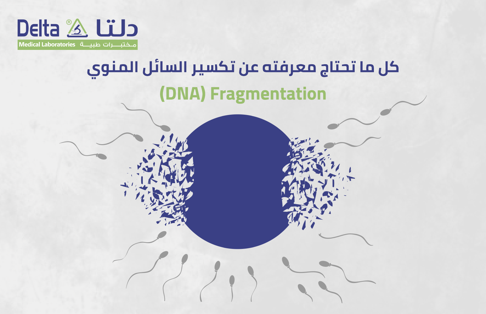 كل ما تحتاج معرفته عن تكسير السائل المنويDNA) fragmentation)