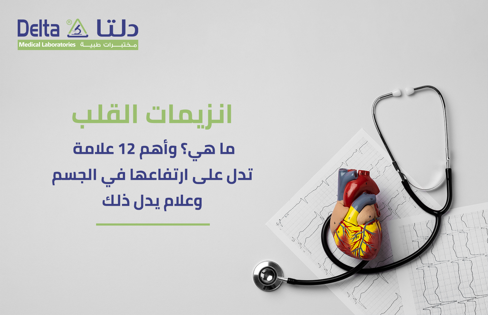 انزيمات القلب ما هي؟ وأهم 12 علامة