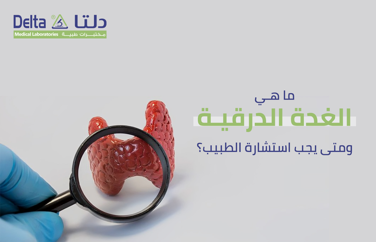 ما هي الغدة الدرقية؟ ومتى يجب استشارة الطبيب؟