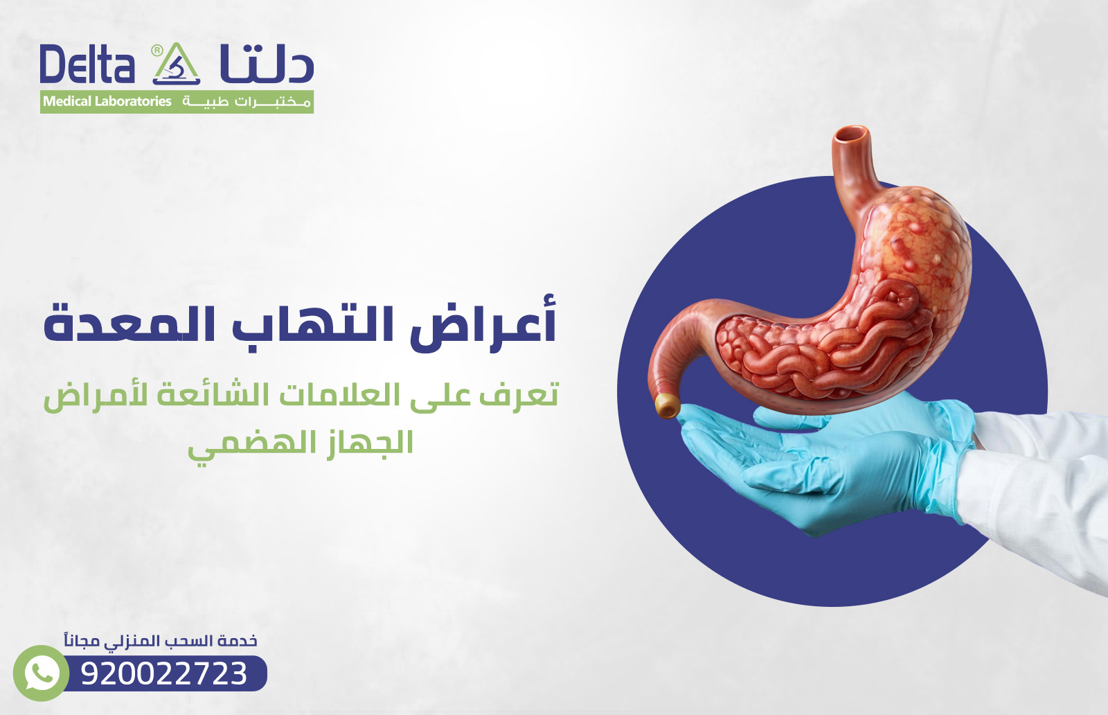 أعراض المعدة: تعرف على العلامات الشائعة لأمراض الجهاز الهضمي