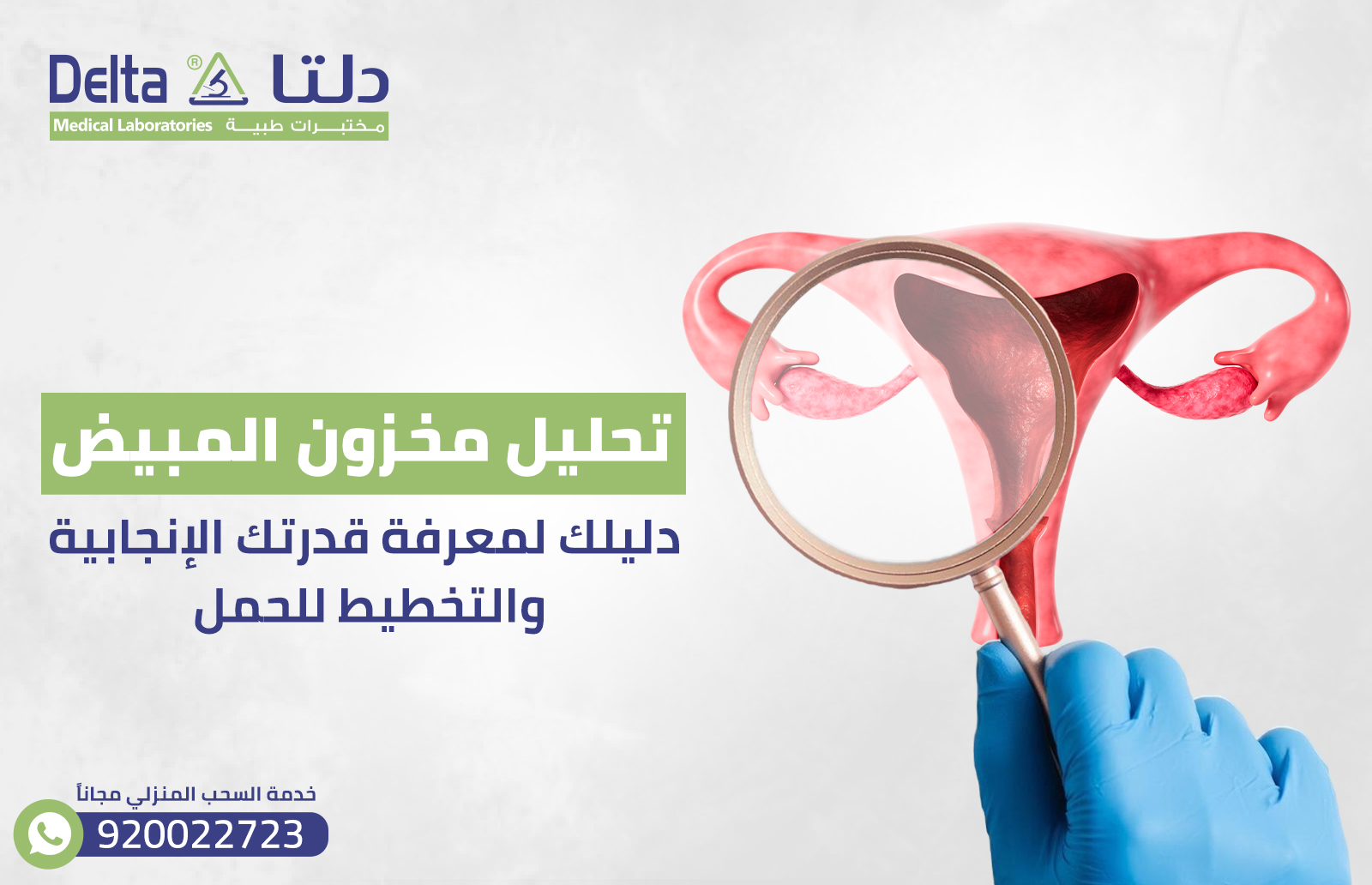 تحليل مخزون المبيض دليلك لمعرفة قدرتك الإنجابية والتخطيط للحمل