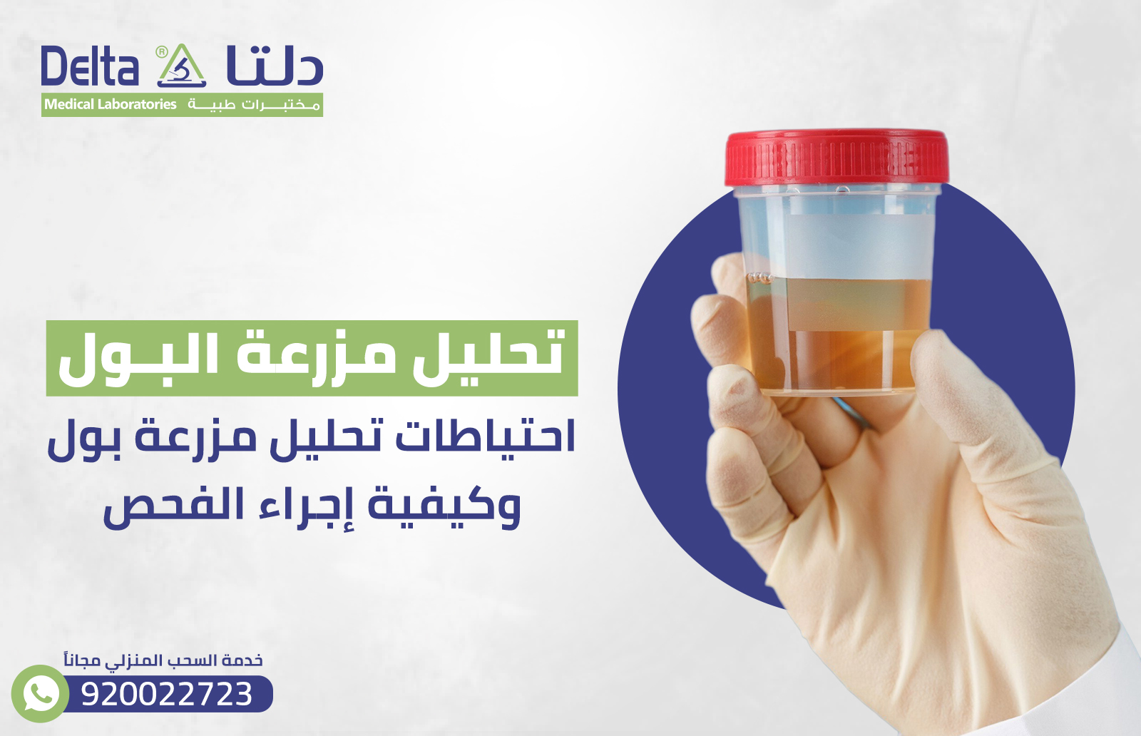 تحليل مزرعة البول: احتياطات تحليل مزرعة بول، وكيفية إجراء الفحص