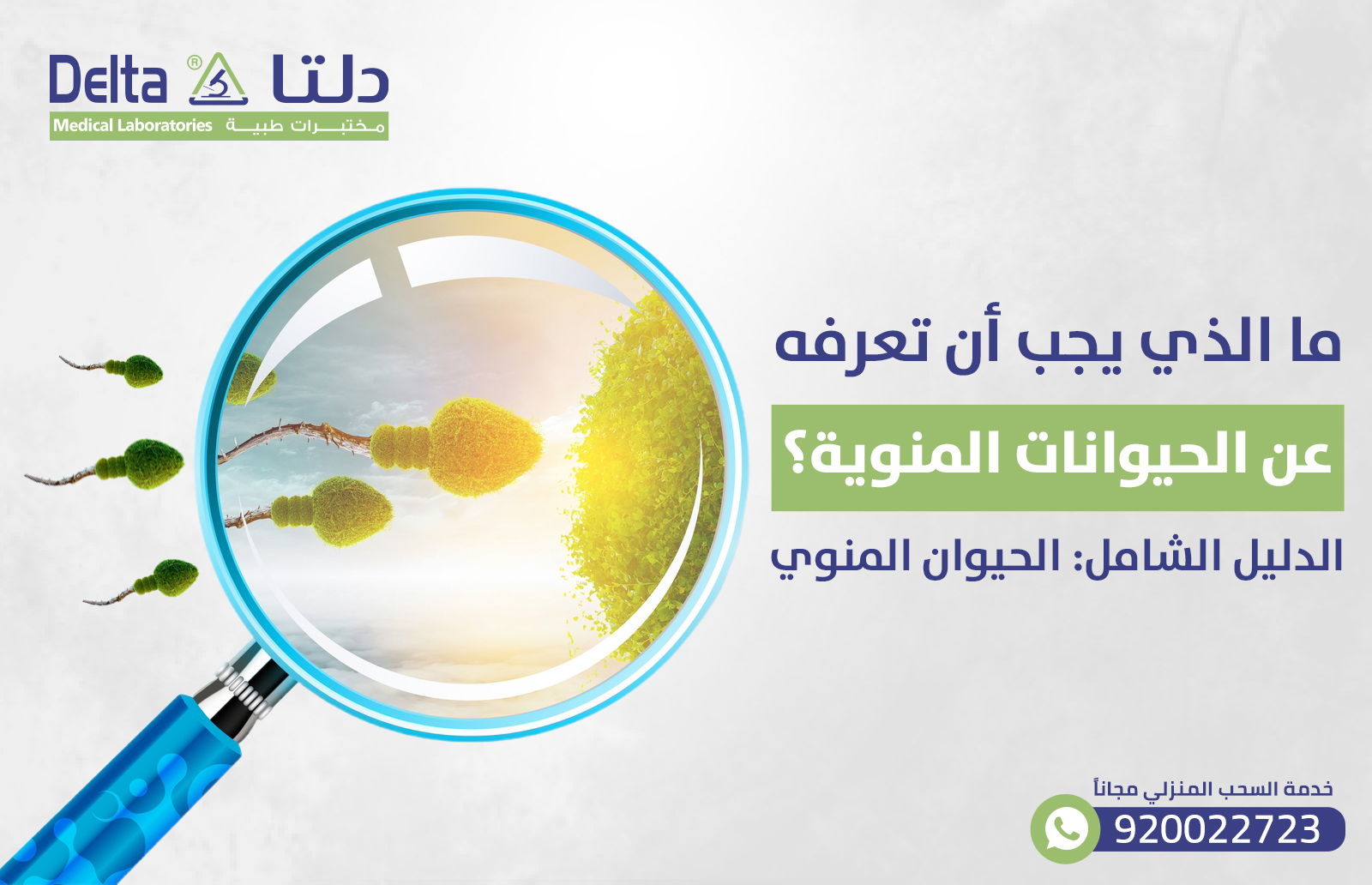 ما الذي يجب أن تعرفه عن الحيوانات المنوية؟ دليلك الشامل عن الحيوان المنوي