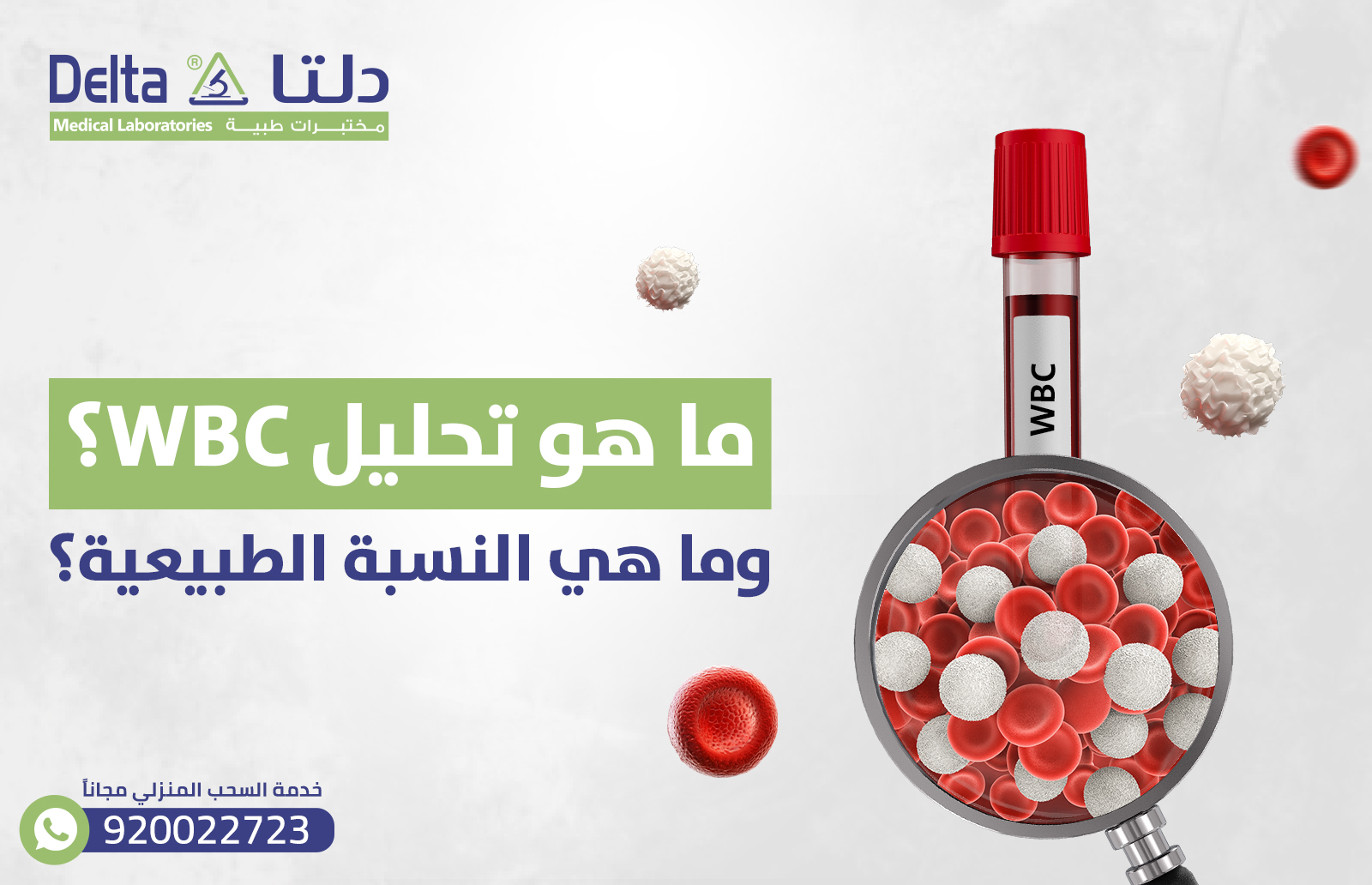 ما هو تحليل WBC؟ وما هي النسبة الطبيعية؟
