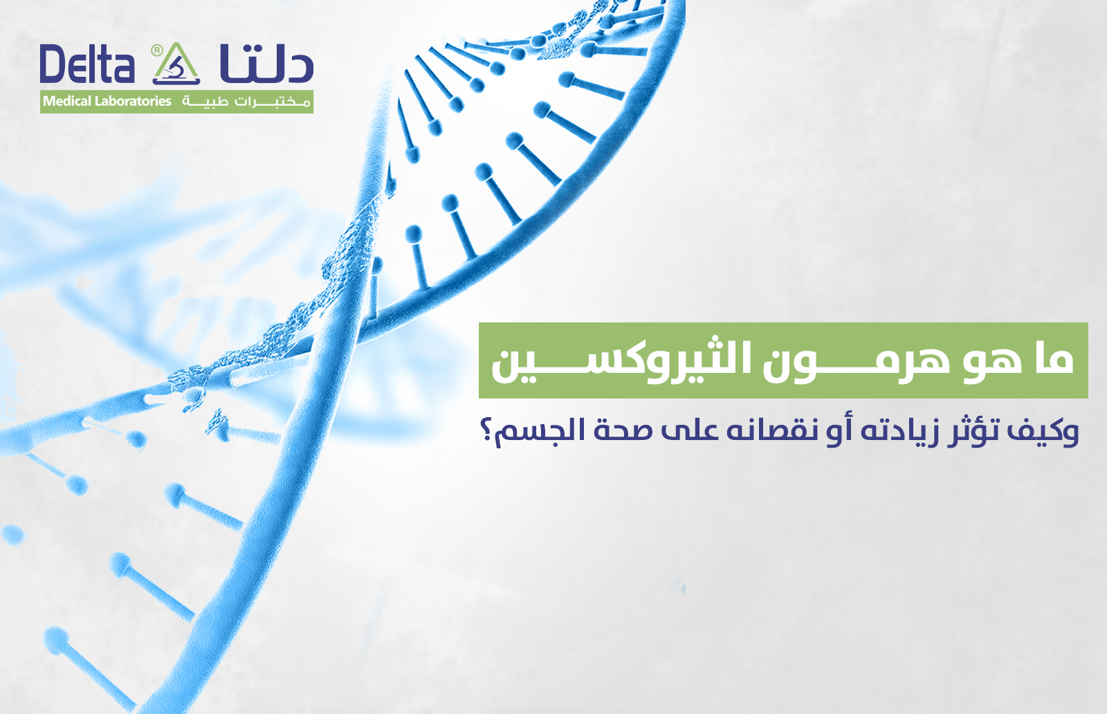 ما هو هرمون الثيروكسين وكيف تؤثر زيادته أو نقصانه على صحة الجسم؟