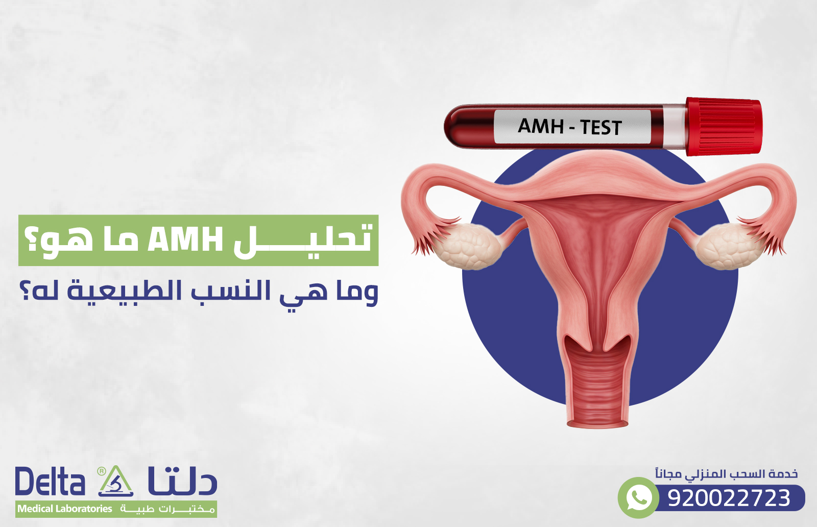 تحليل amh ما هو؟ وما هي النسب الطبيعية له؟