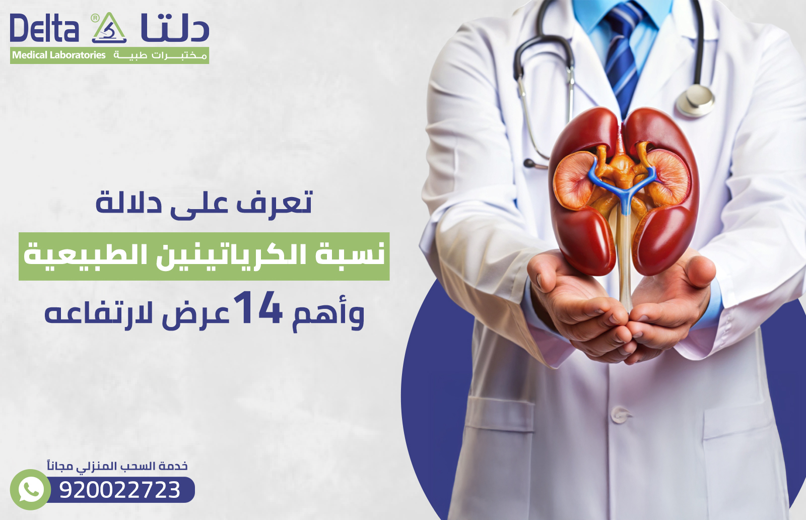 تعرف على دلالة نسبة الكرياتينين الطبيعية وأهم 14 عرض لارتفاعه