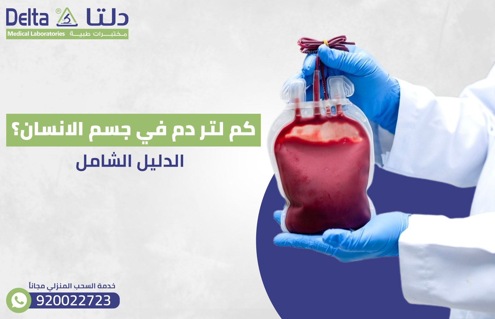 كم لتر دم في جسم الانسان؟ الدليل الشامل