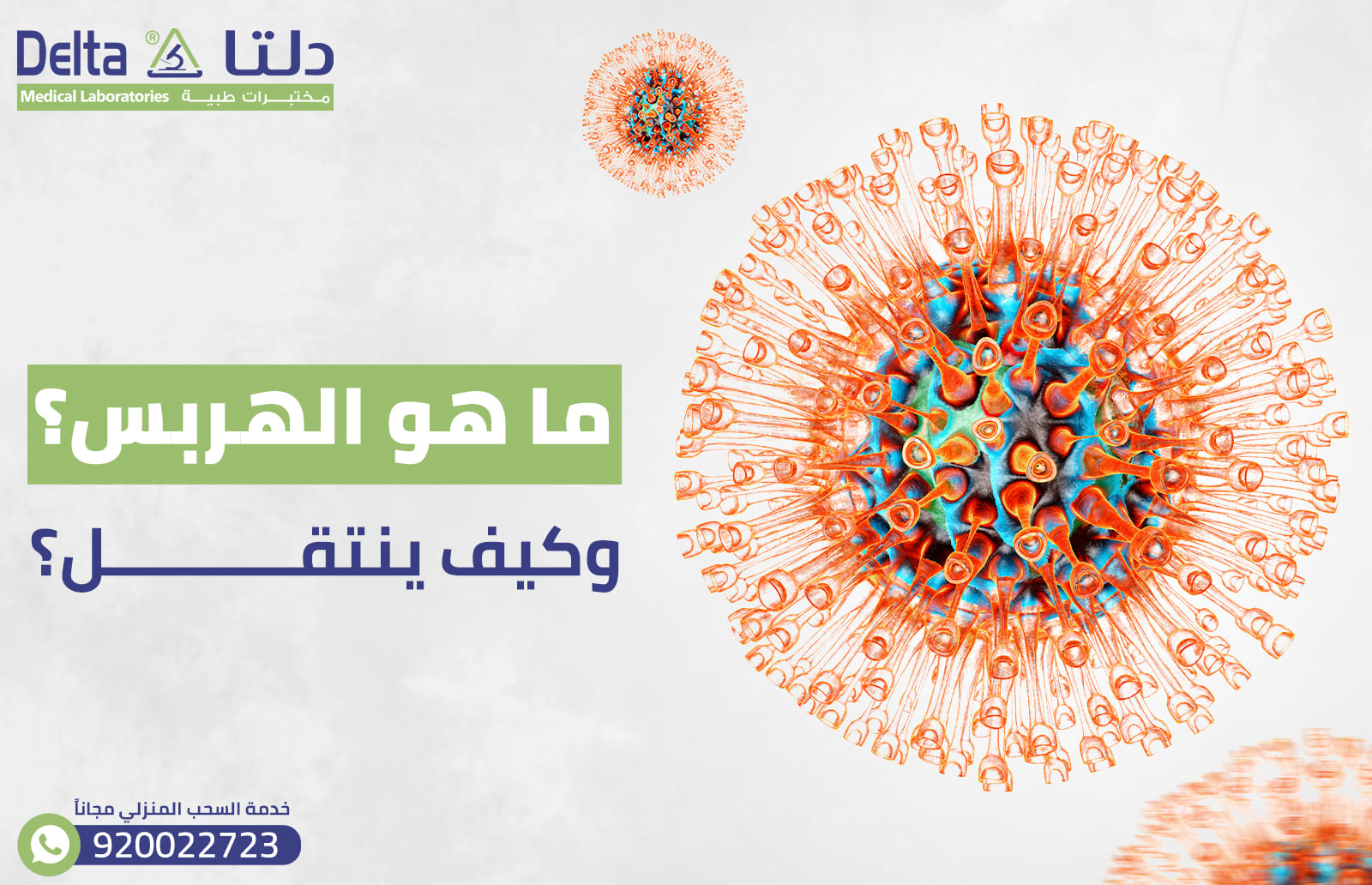 هربس ما هو؟ وكيف ينتقل؟