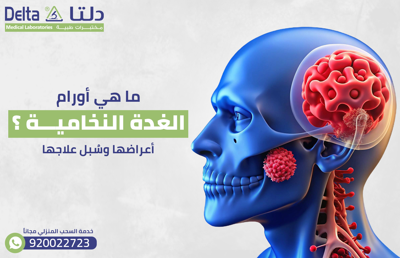 ما هي أورام الغدة النخامية؟ أعراضها وسُبل علاجها