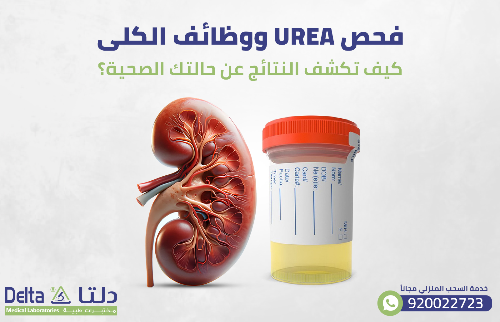فحص Urea ووظائف الكلى: كيف تكشف النتائج عن حالتك الصحية؟