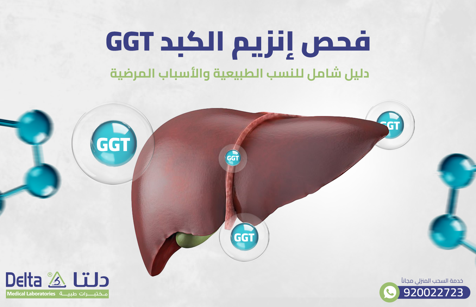 فحص إنزيم الكبد GGTدليل شامل للنسب الطبيعية والأسباب المرضية