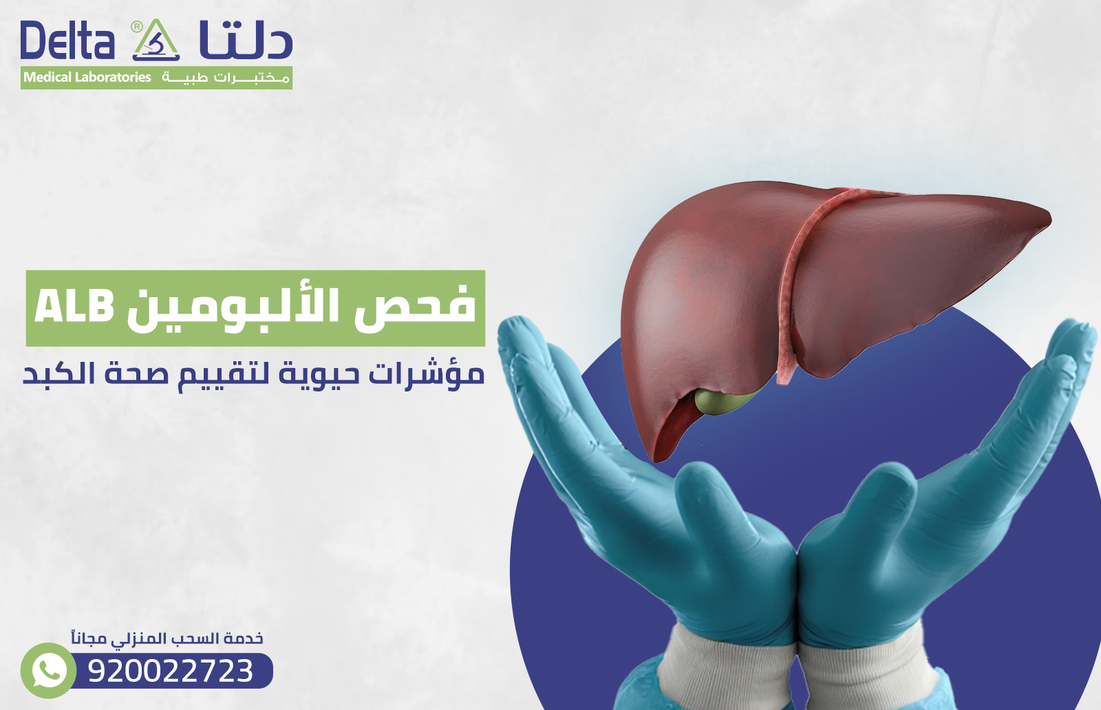 فحص الألبومين ALB: مؤشرات حيوية لتقييم صحة الكبد