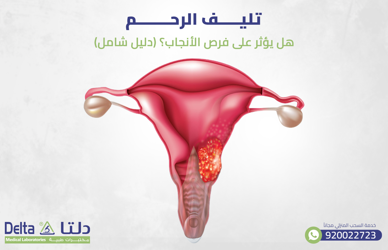 تليف الرحم: هل يؤثر على فرص الأنجاب؟ (دليل شامل)