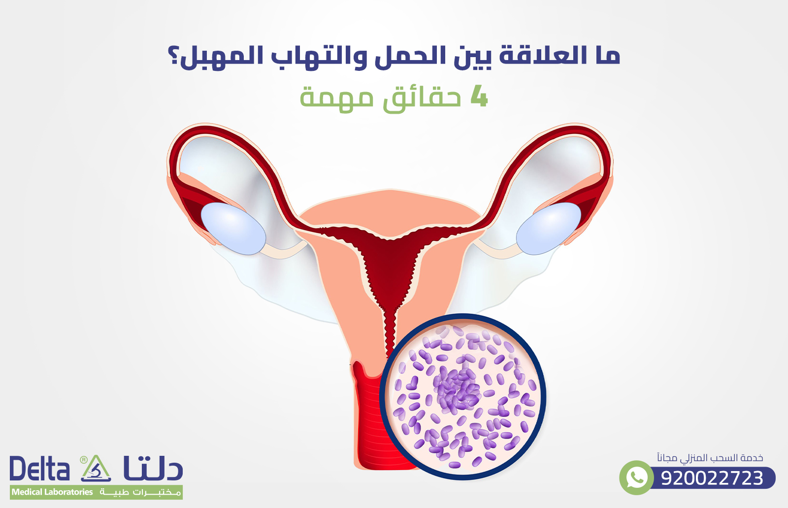 ما العلاقة بين الحمل والتهاب المهبل؟ 4 حقائق مهمة
