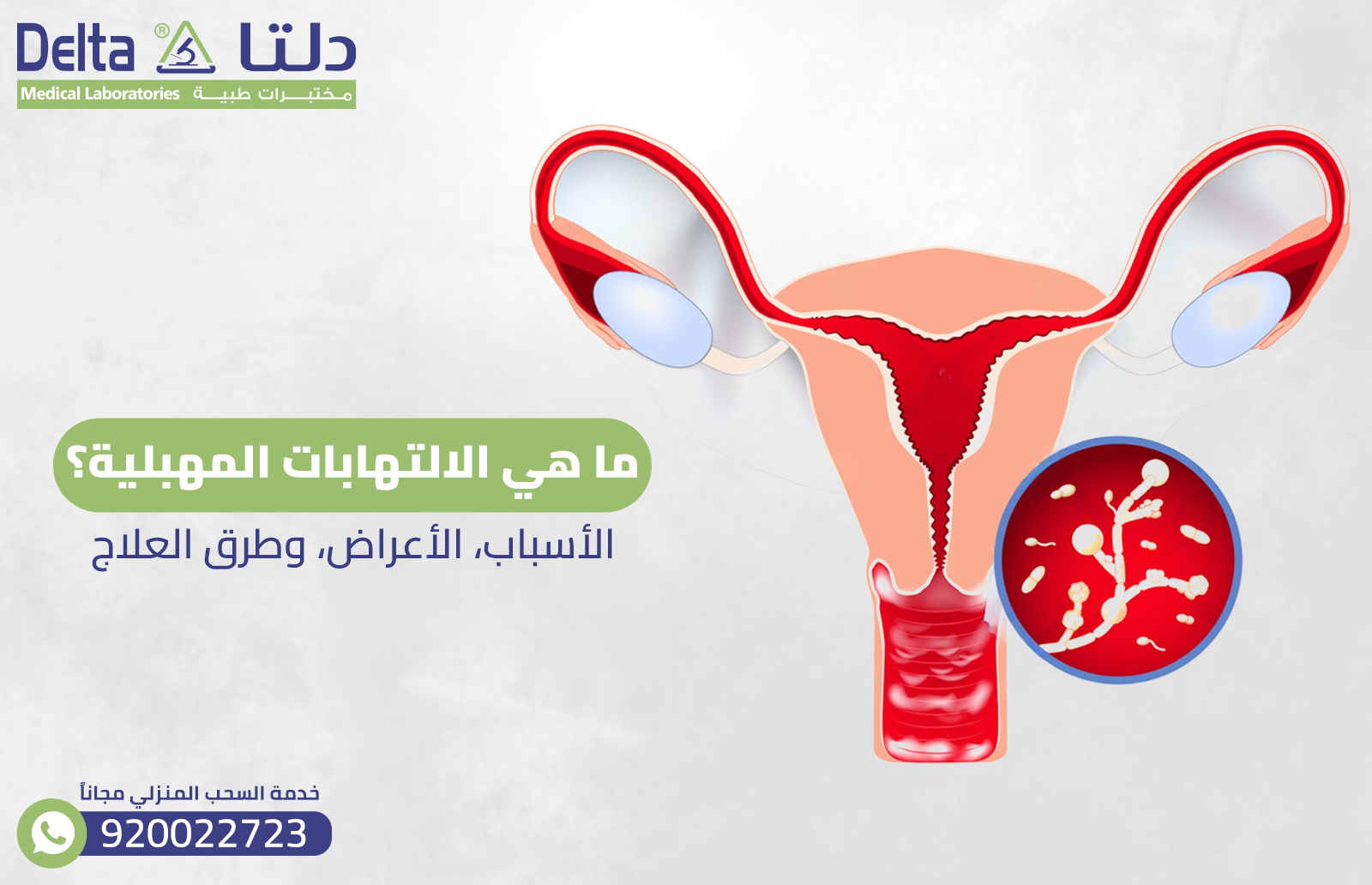 ما هي الالتهابات المهبلية؟ الأسباب، الأعراض، وطرق العلاج