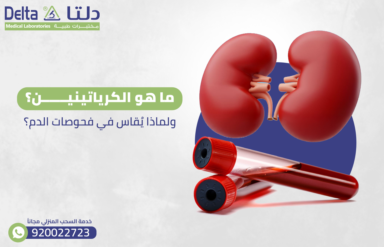 ما هو الكرياتينين؟ ولماذا يُقاس في فحوصات الدم؟