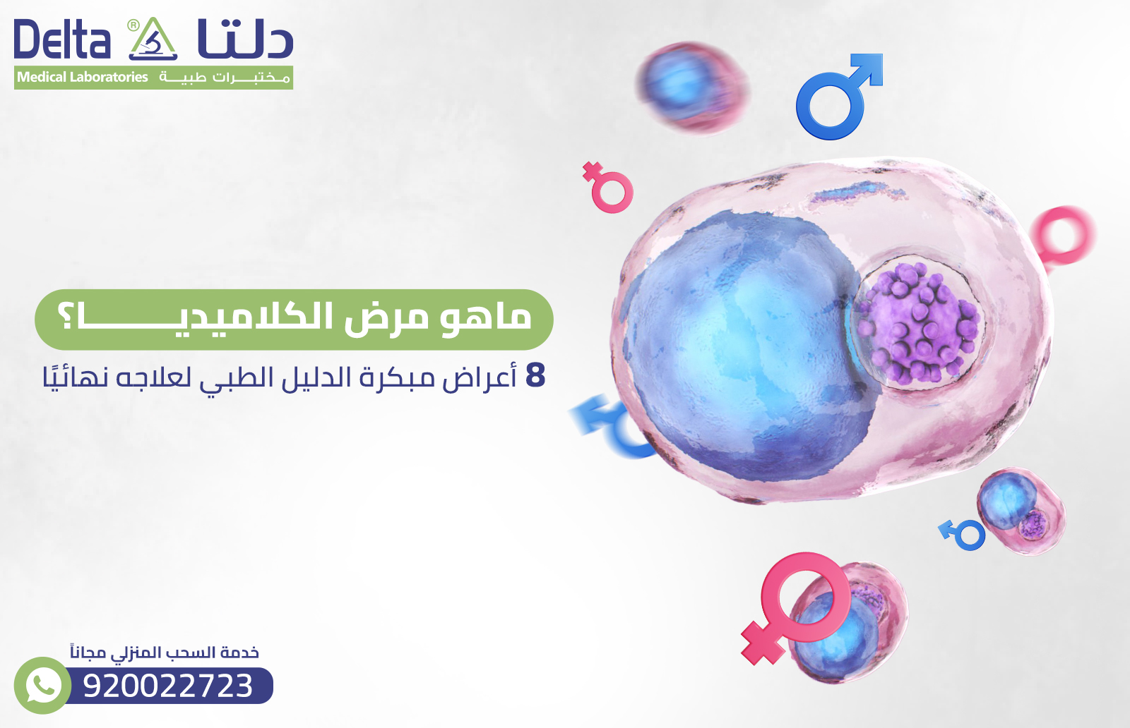 ماهو مرض الكلاميديا؟ 8 أعراض مبكرة الدليل الطبي لعلاجه