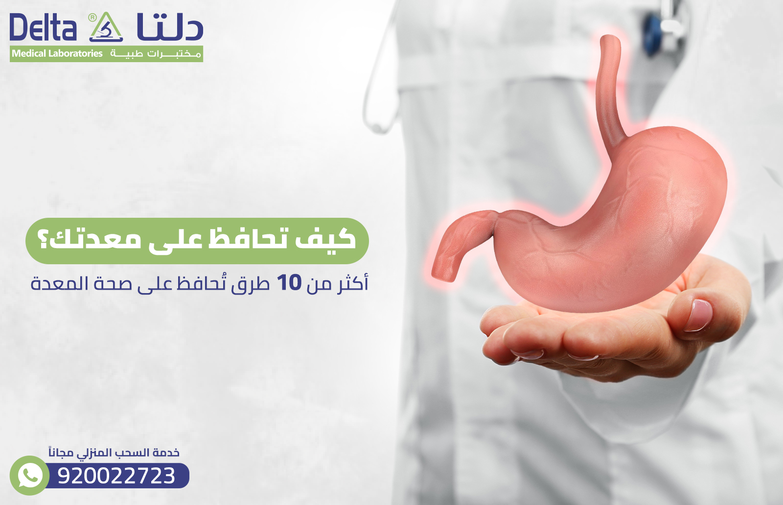 كيف تحافظ على معدتك؟ أكثر من 10 طرق تُحافظ على صحة المعدة