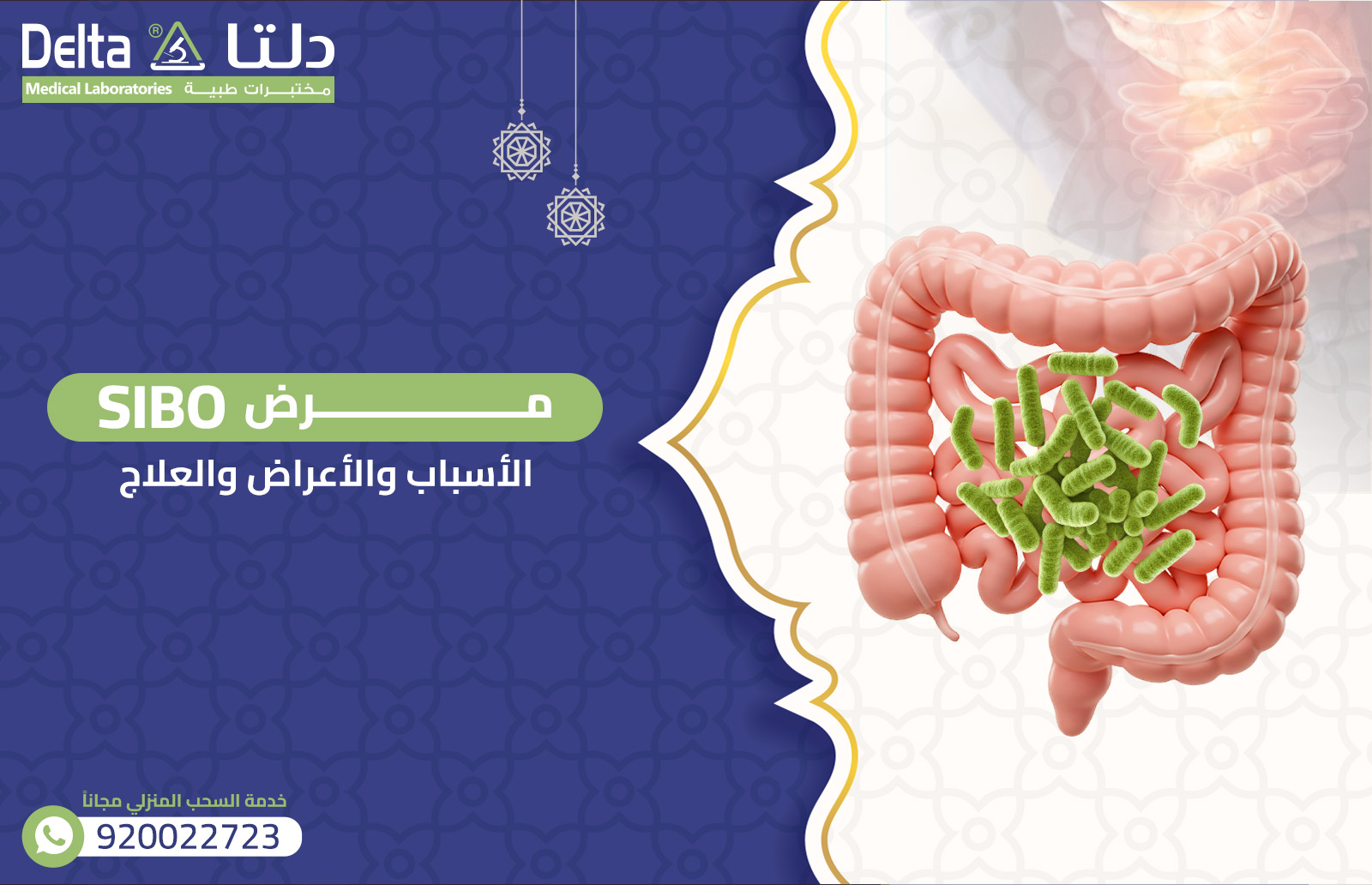 فحص SIBO - تحليل SIBO - السيبو الأسباب والأعراض والعلاج