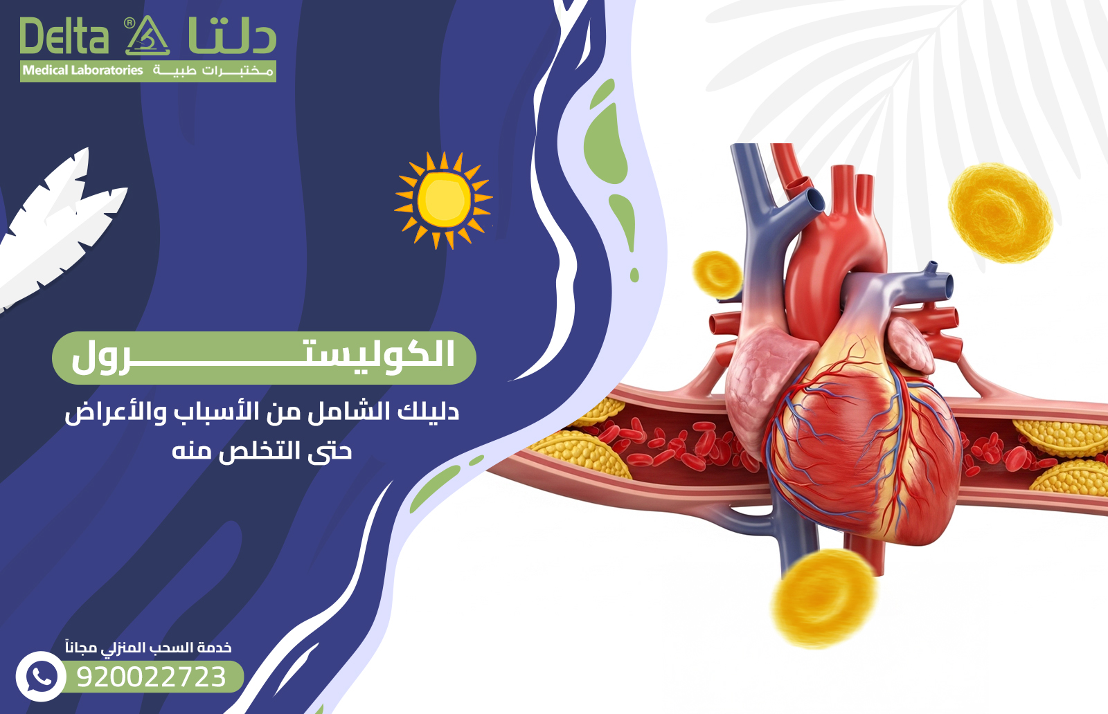 الكوليسترول