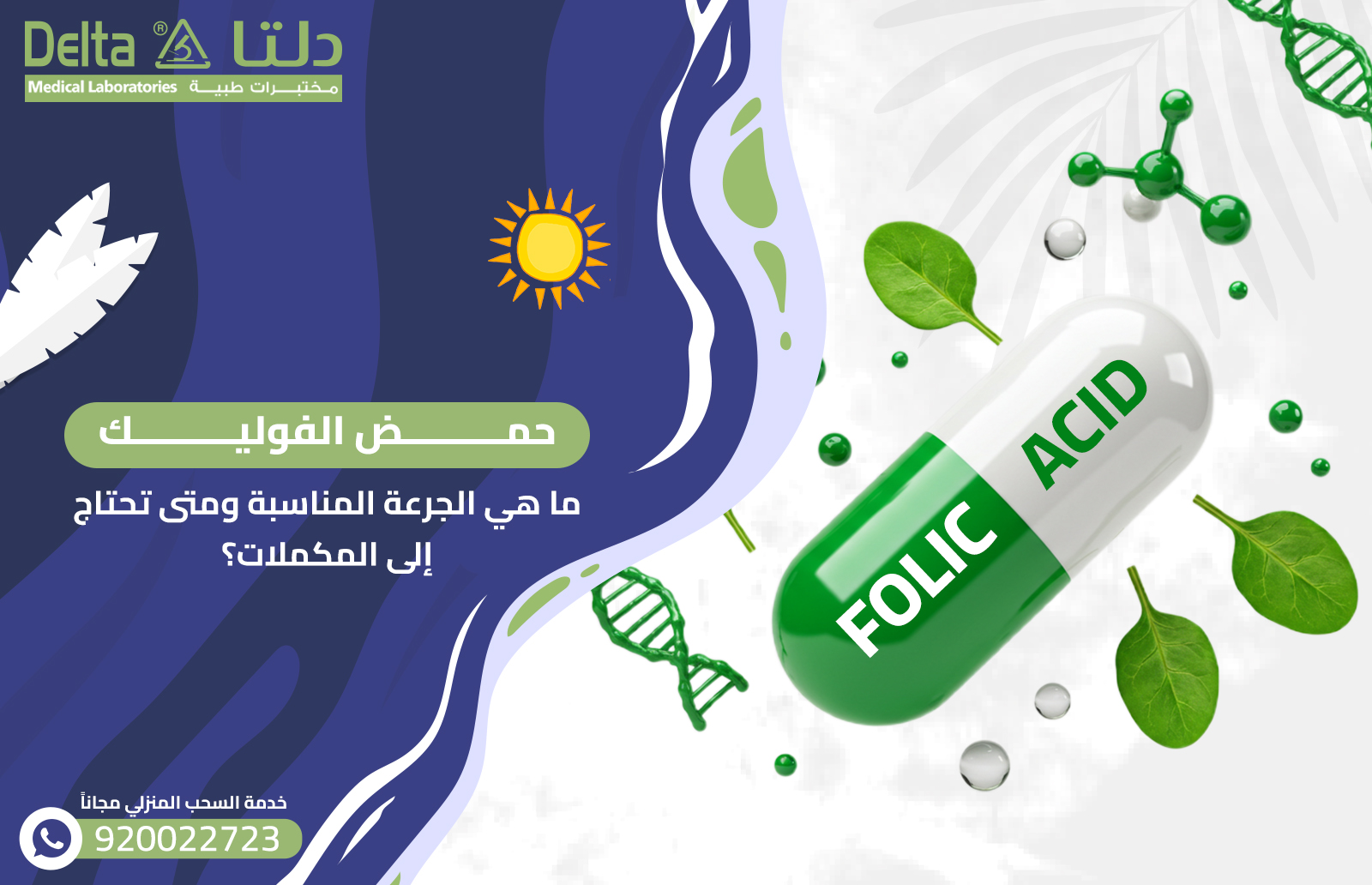 حمض الفوليك